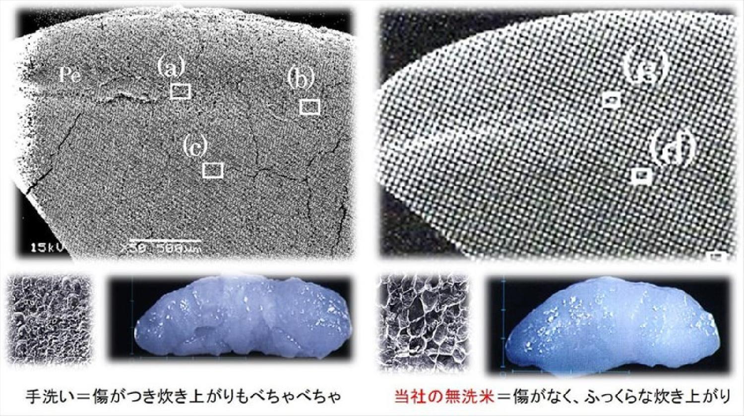 食品 米 北海道産ゆめぴりか 30kg ※5kg×6袋【令和4年産】 [送料無料](・沖縄・離島は別途必要)普通精米ホームページ制作  SEO対策なら大阪のKENKO