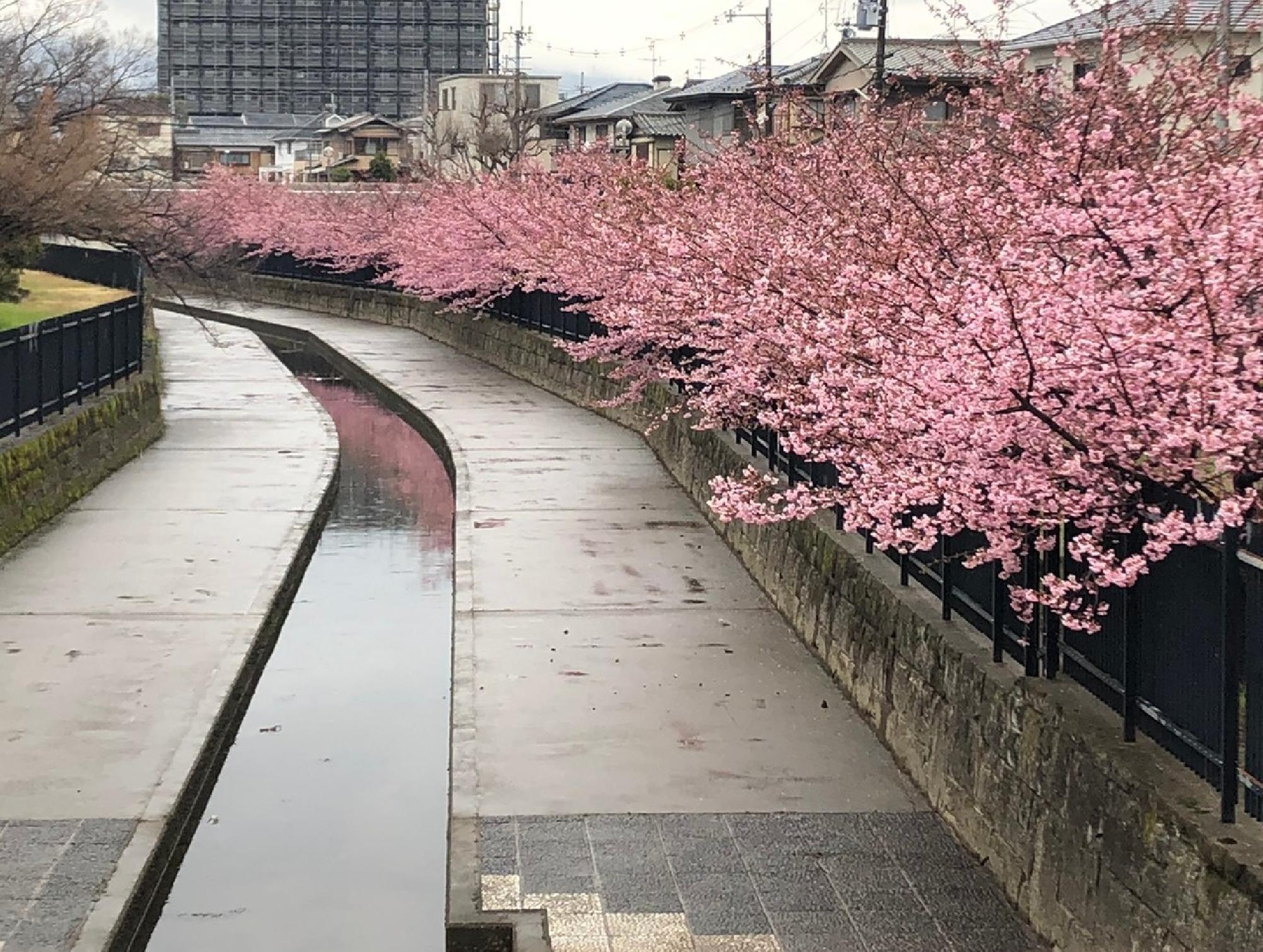 京都市伏見区淀木津町にて_画像