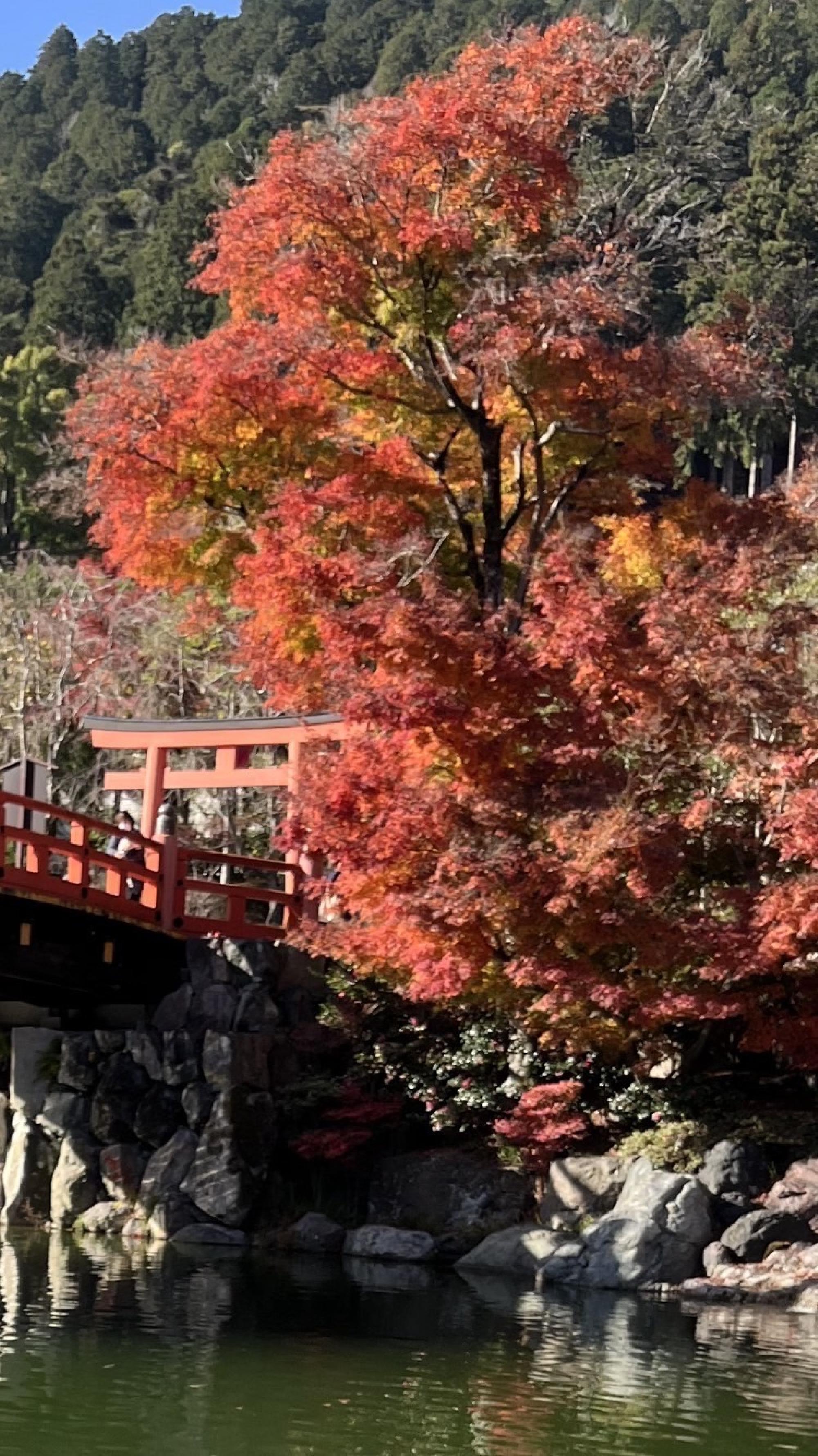 勝尾寺のお土産をいただきました。_画像