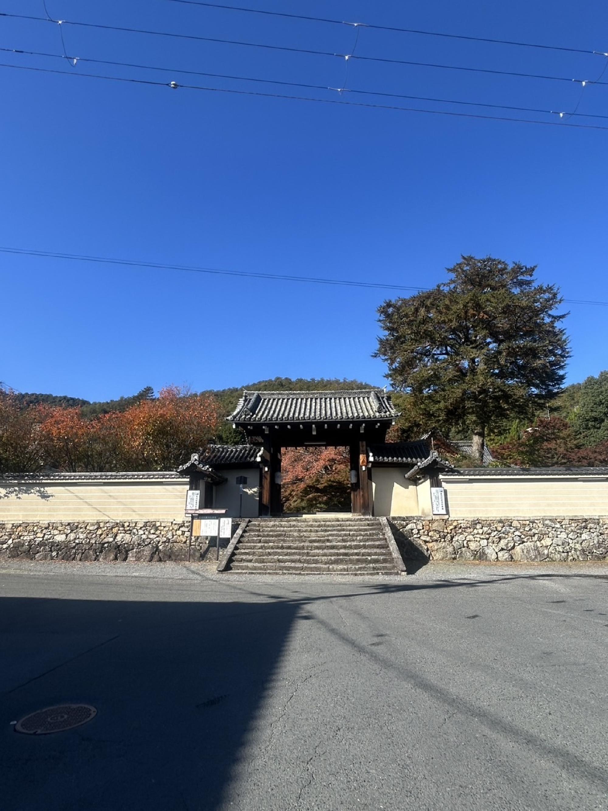 実相院の床紅葉