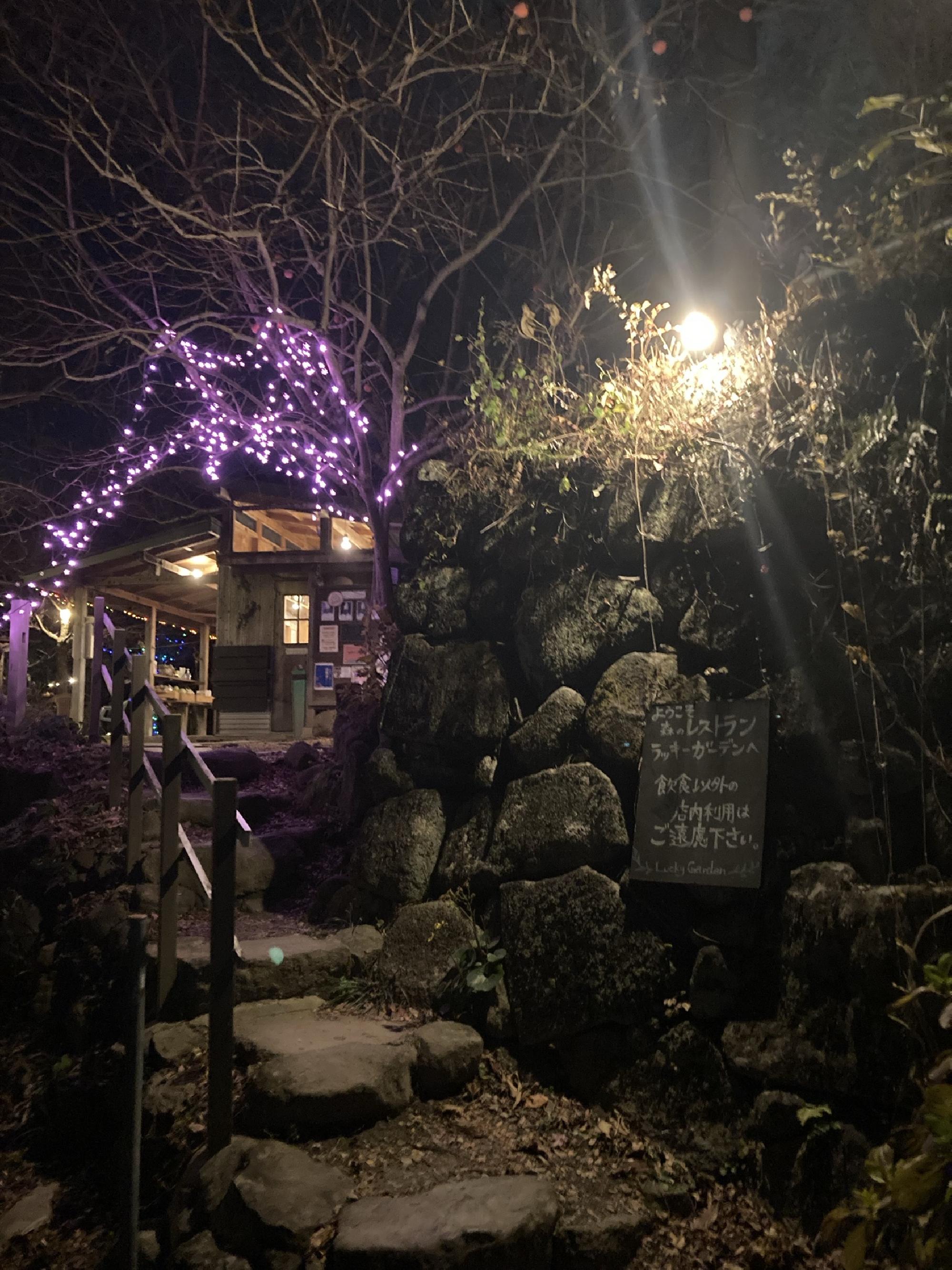 生駒のラッキーガーデン_画像