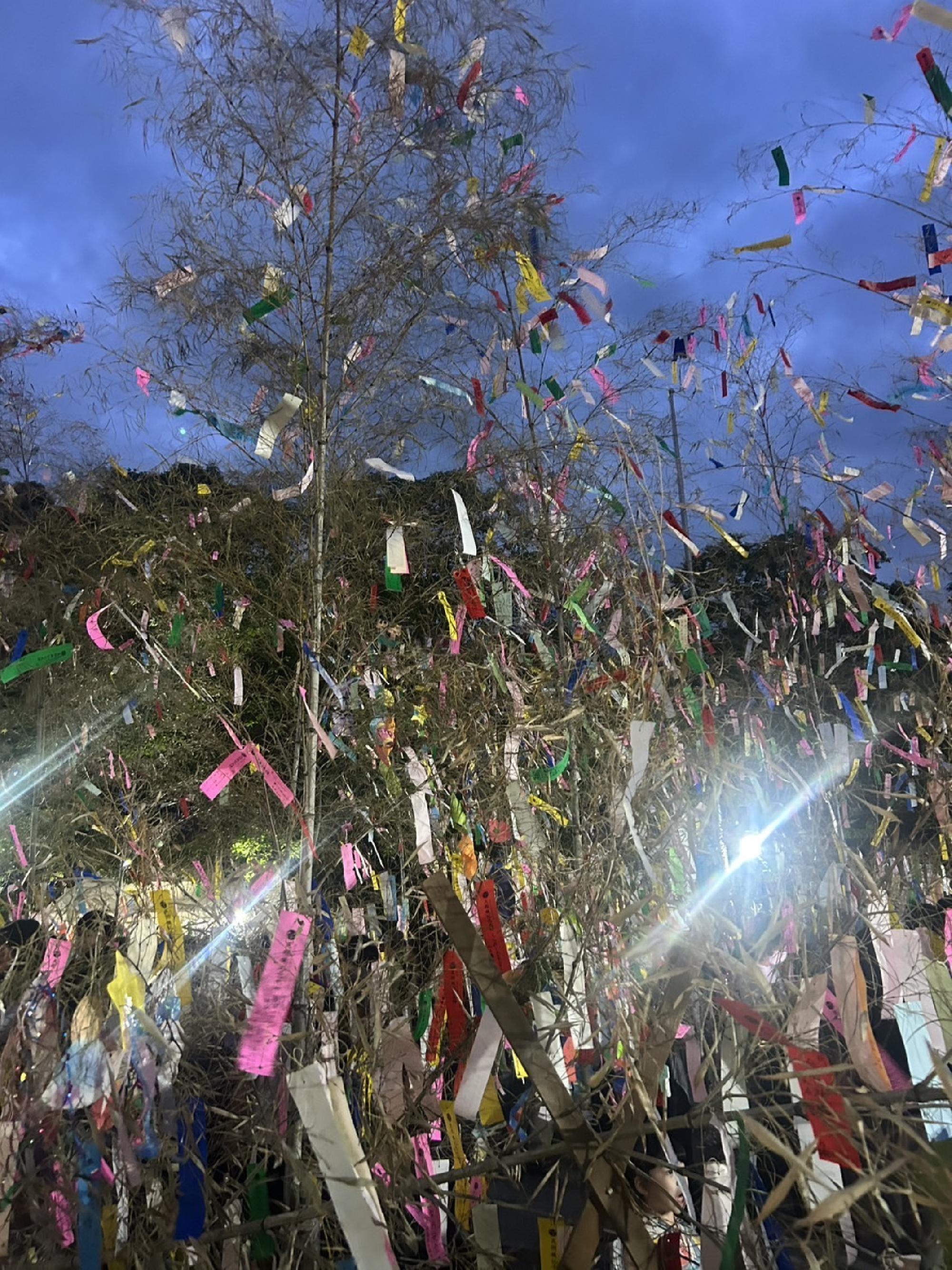 交野市にある機物神社の七夕祭り_画像