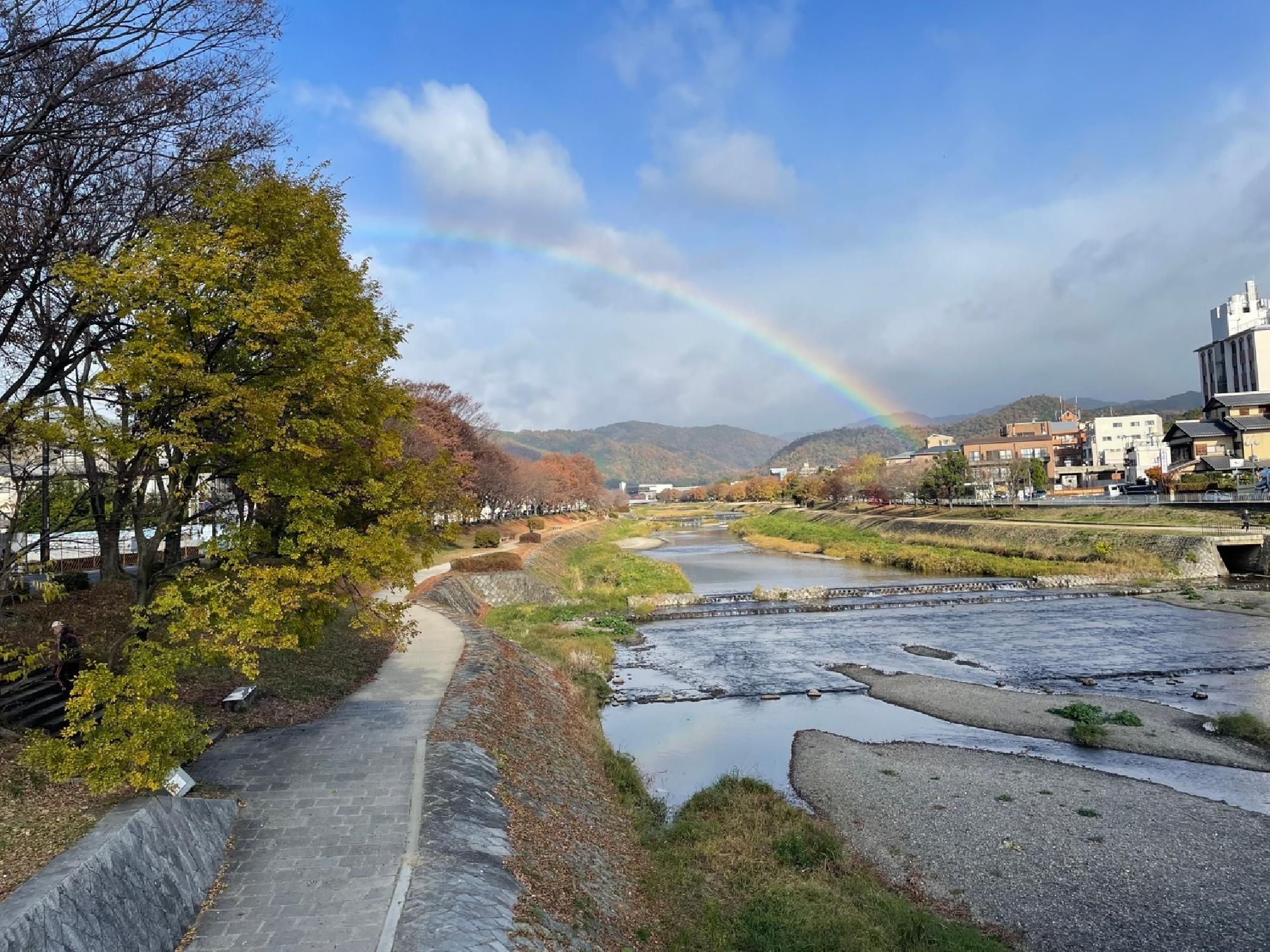 賀茂川にかかった虹の橋_画像