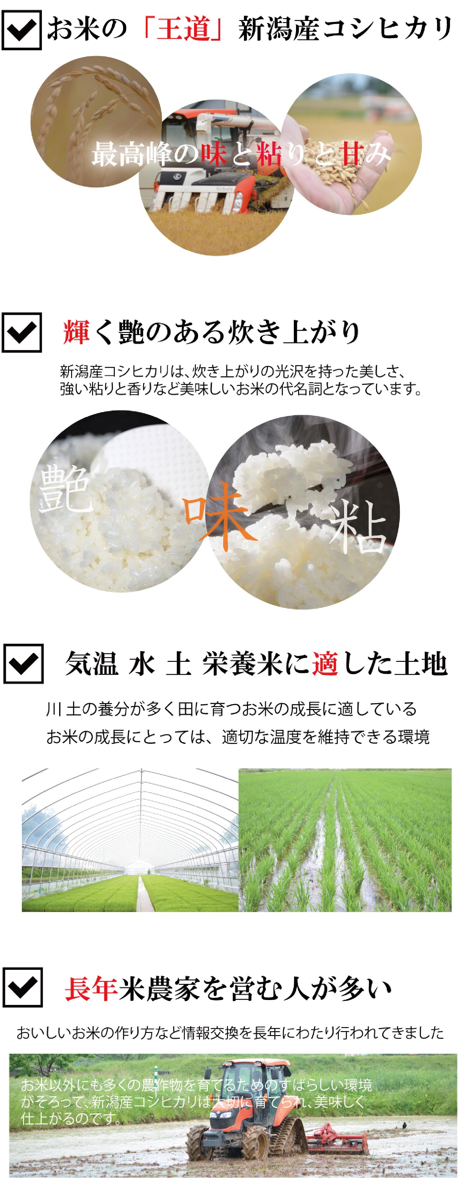 10kg　※5kg×2袋【令和5年産】[送料無料](・沖縄・離島は別途必要)どこよりも美味しく！どこよりも安く！ゆめぴりか　種類で選ぶ　お米の通販なら　新潟産コシヒカリ　無洗米　コシヒカリ　新潟産コシヒカリ☆無洗米☆　よこしょく