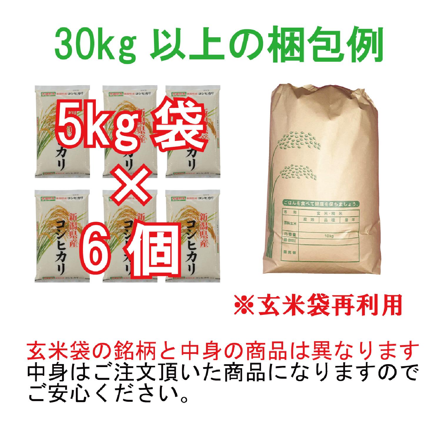 食品/飲料/酒南魚沼産コシヒカリしおざわ西山地区　令和４年産精米10kg