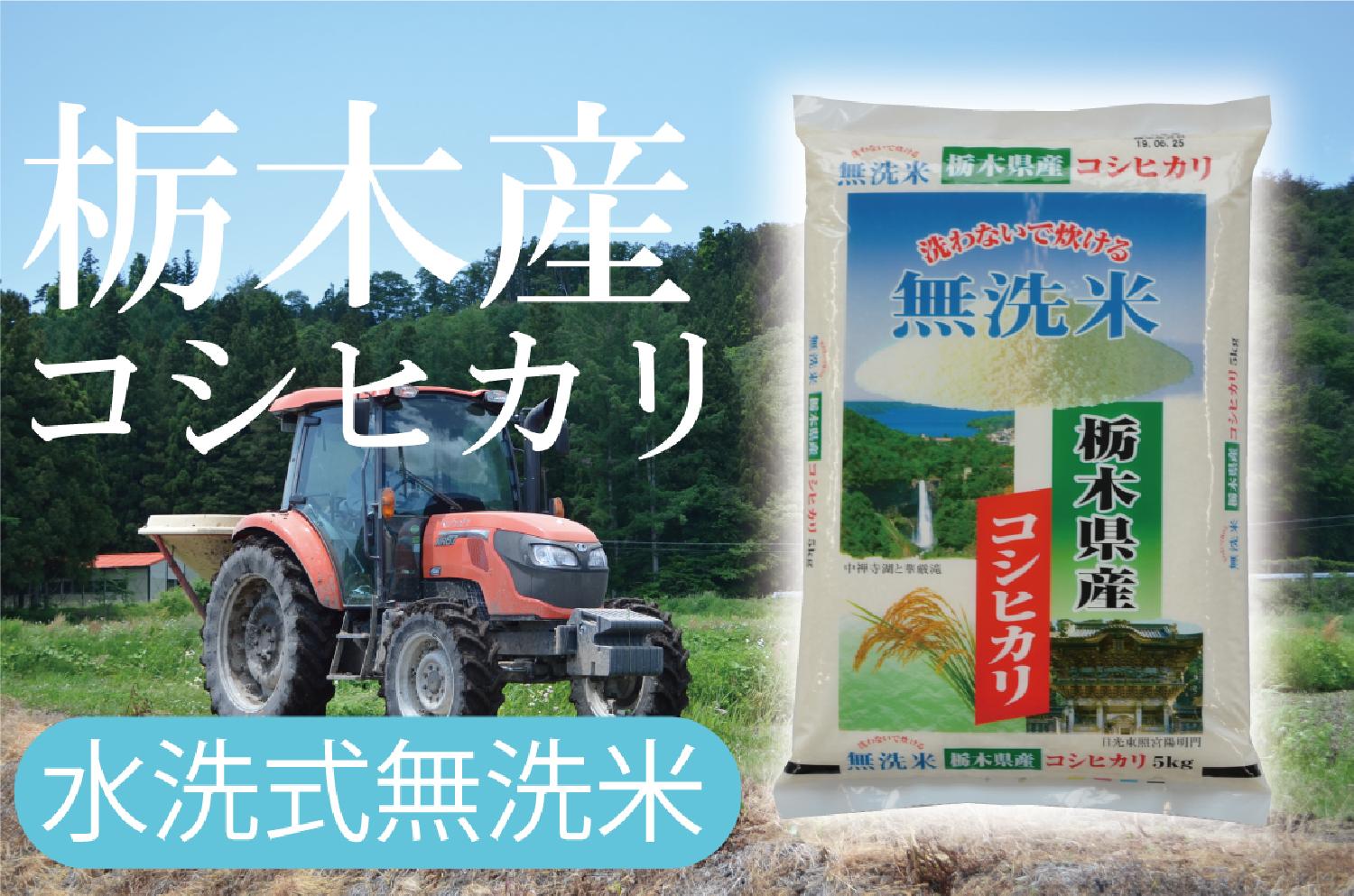 栃木県産 コシヒカリ 10キロ 無洗米