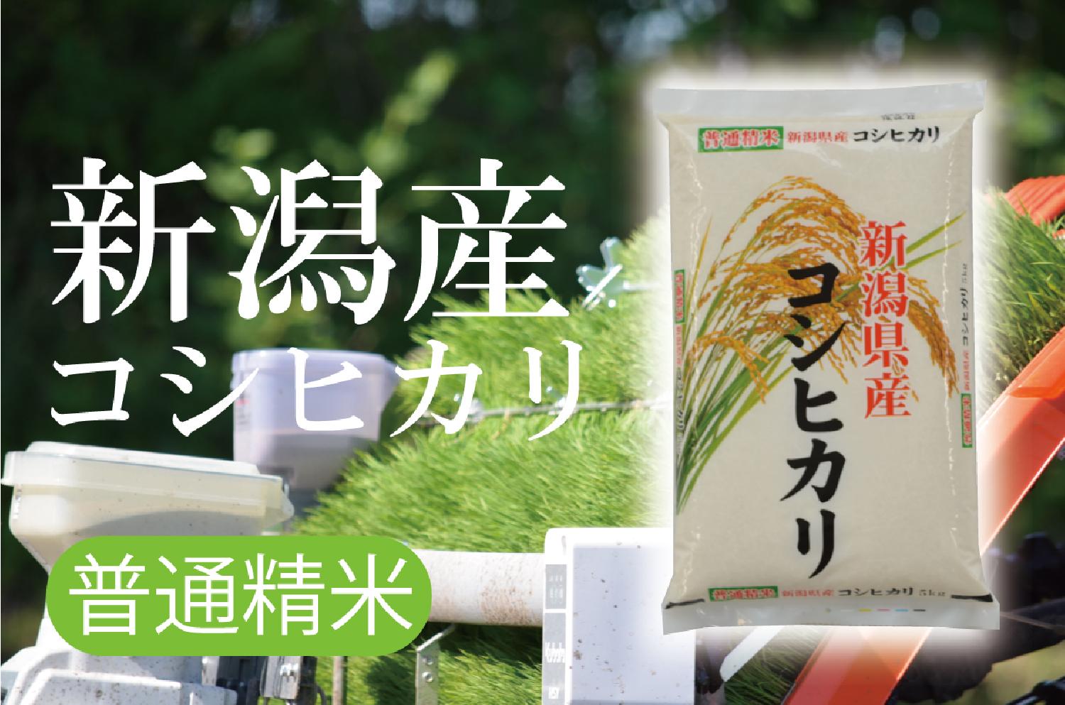 【令和5年産】[送料無料](・沖縄・離島は別途必要)普通精米どこよりも美味しく！どこよりも安く！ゆめぴりか　種類で選ぶ　コシヒカリ　新潟産コシヒカリ新潟産コシヒカリ　5kg　お米の通販なら　よこしょく