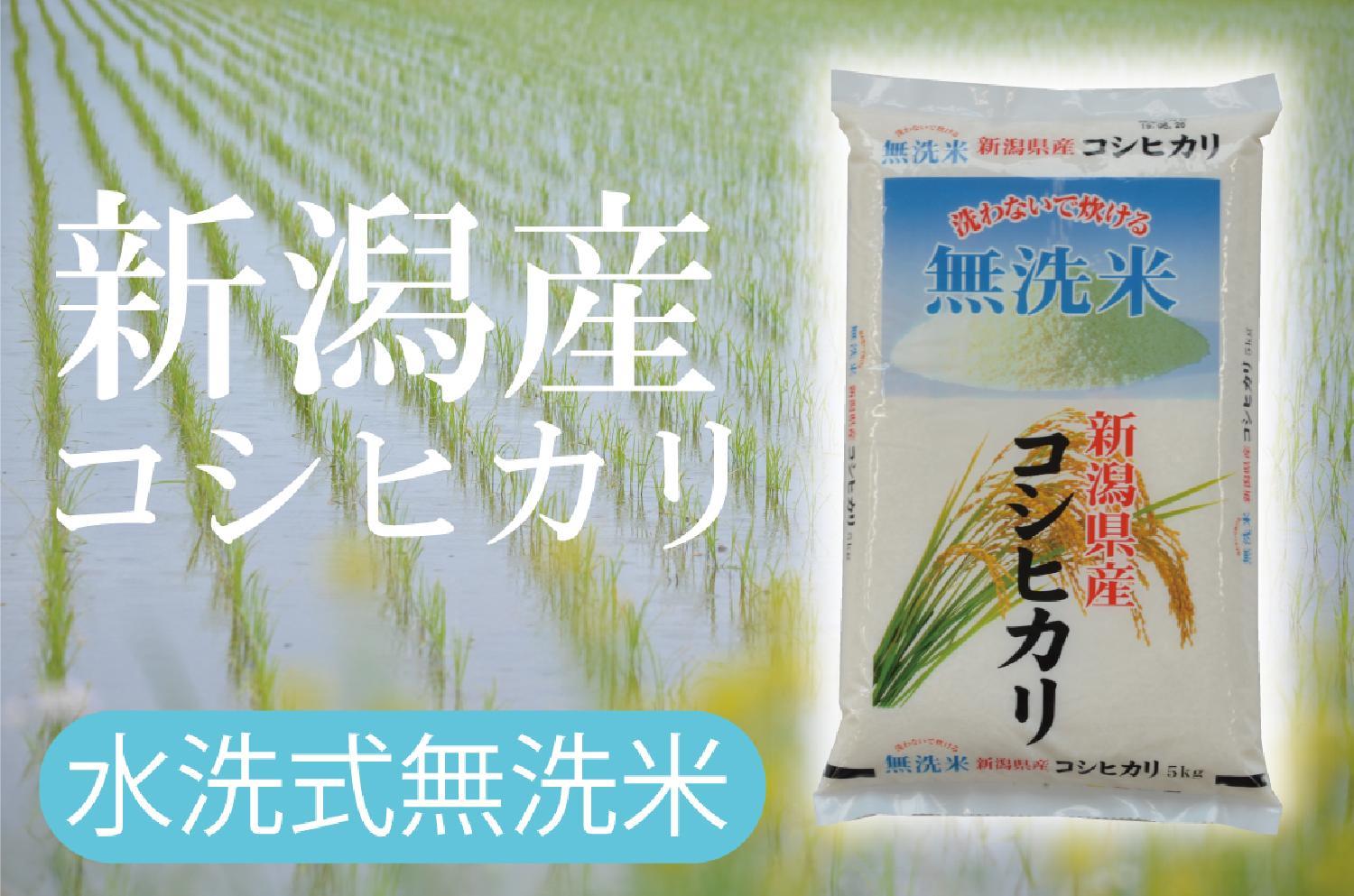  令和2年産　新潟産コシヒカリ　無洗米新潟産コシヒカリ　新米が入荷しました！