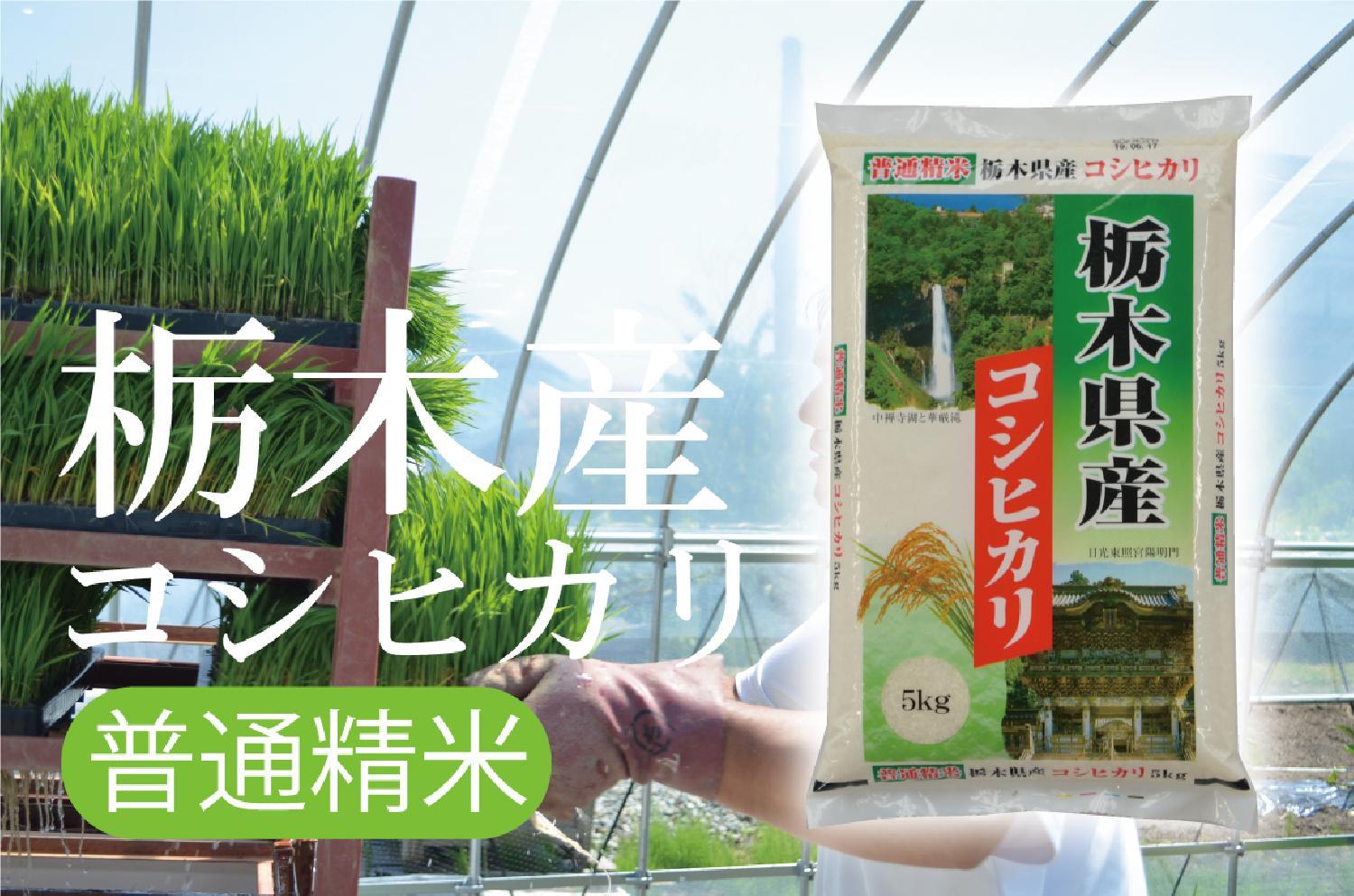  令和2年産　栃木産コシヒカリ　無洗米栃木産コシヒカリ　新米が入荷しました！