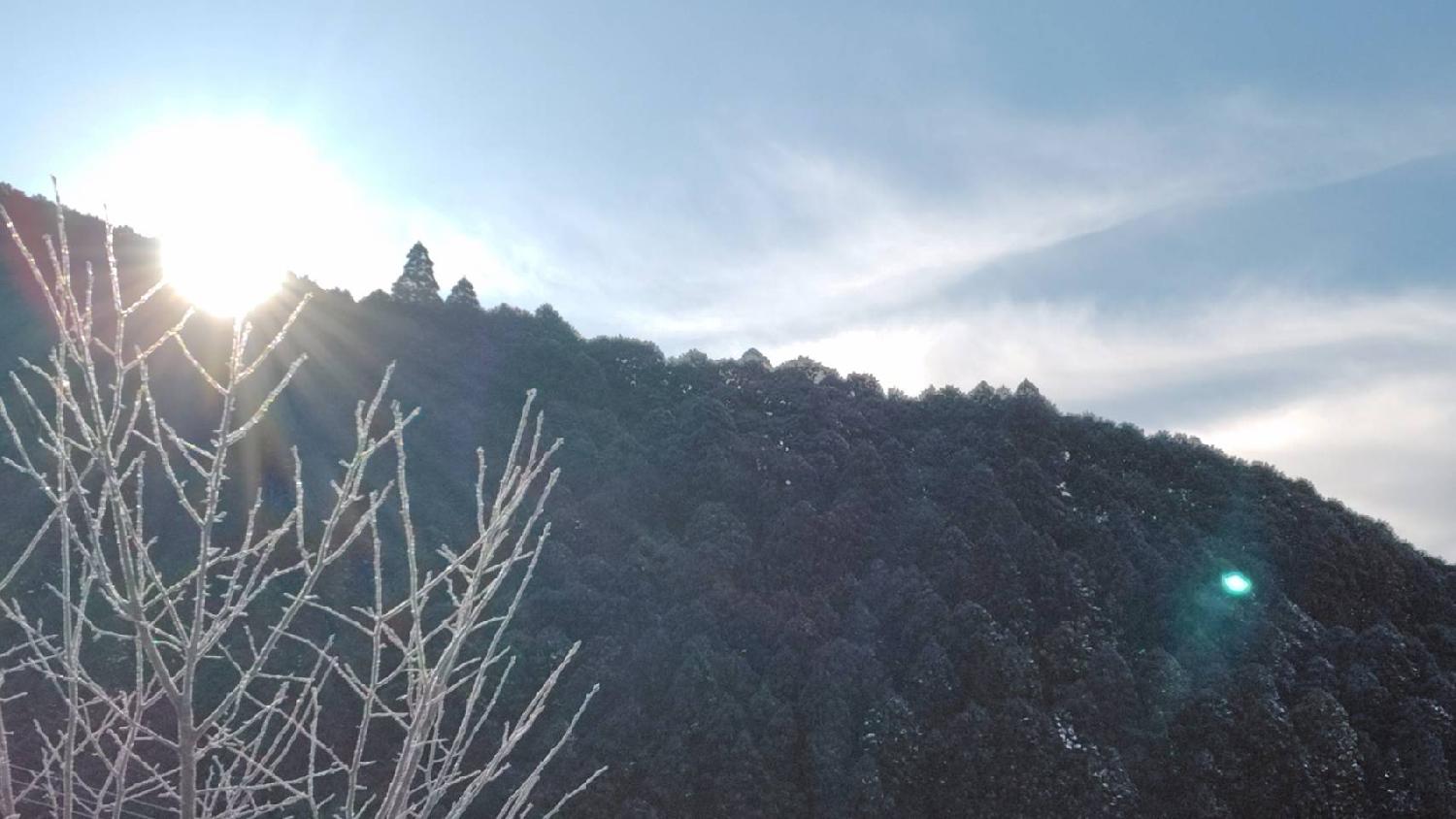 2026/02/14 共振・共鳴