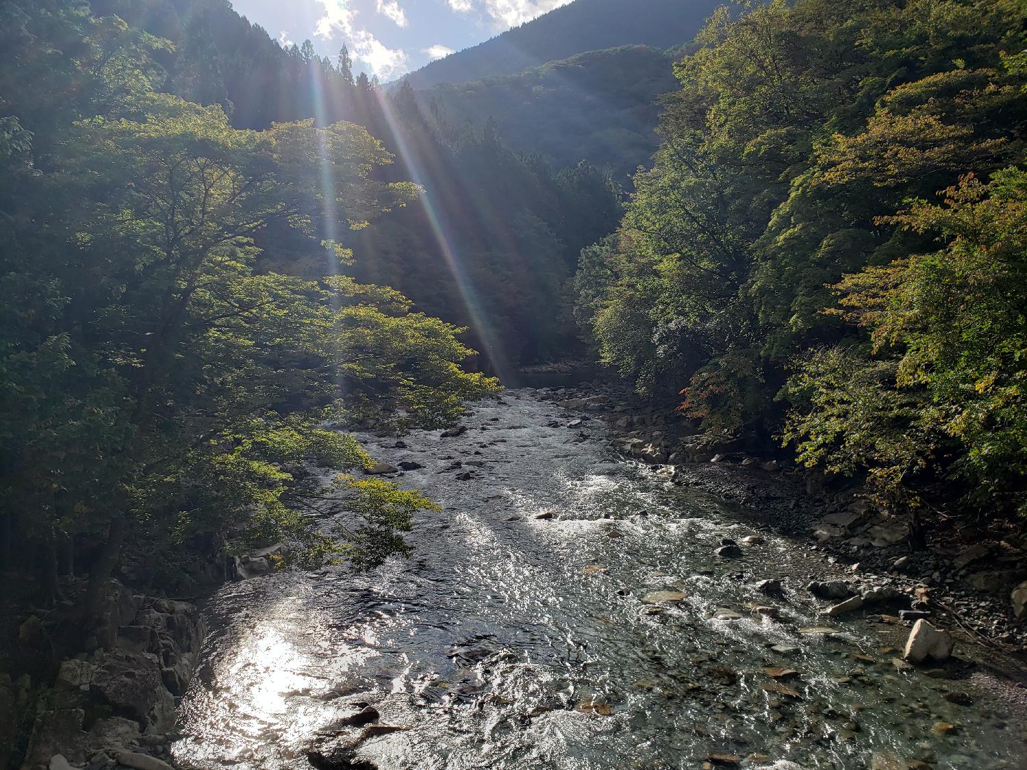 2020/10/12 10:00:00 雨も上がり久しぶりに奥へ