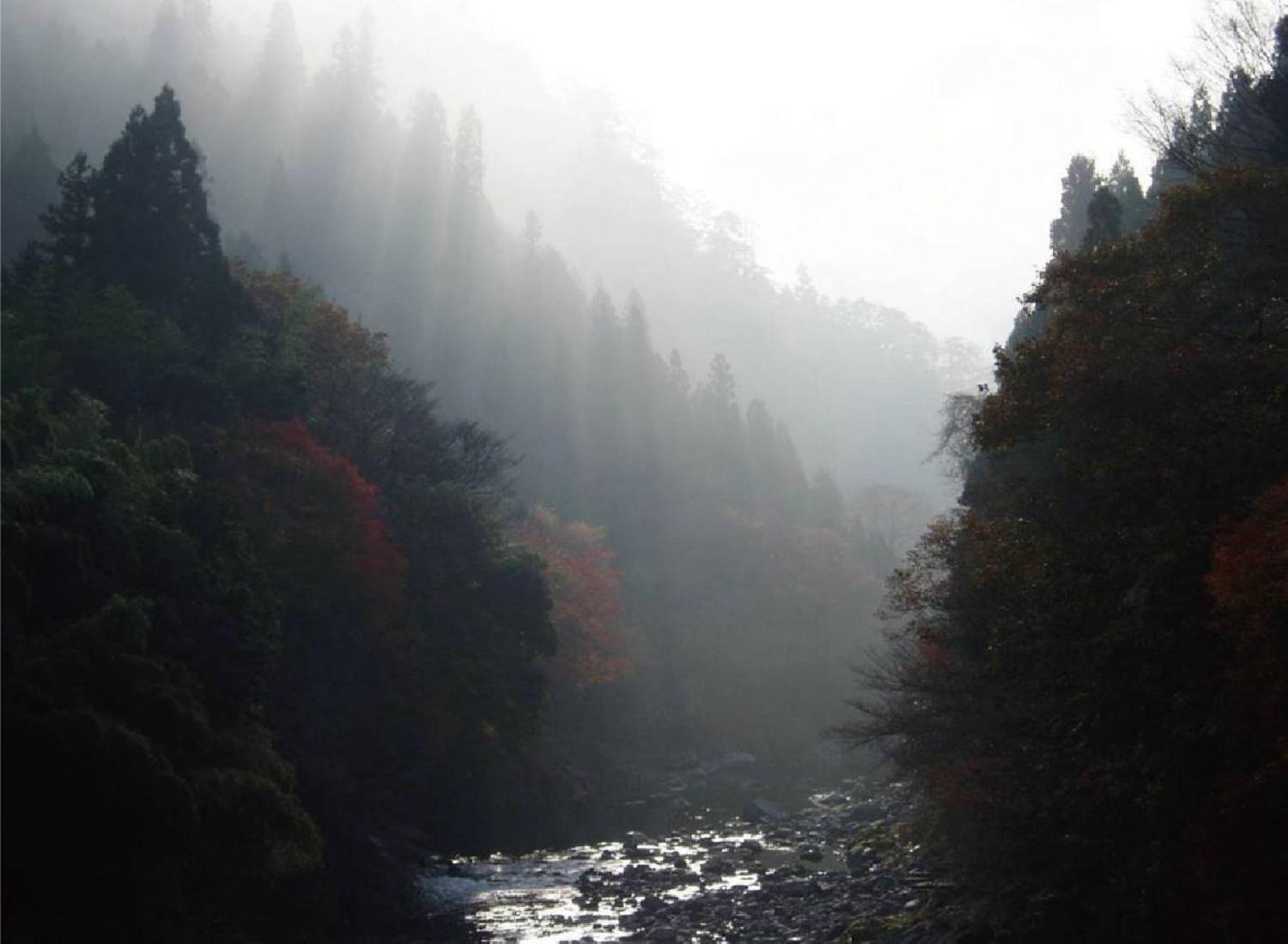 2026/01/13 存在の詩