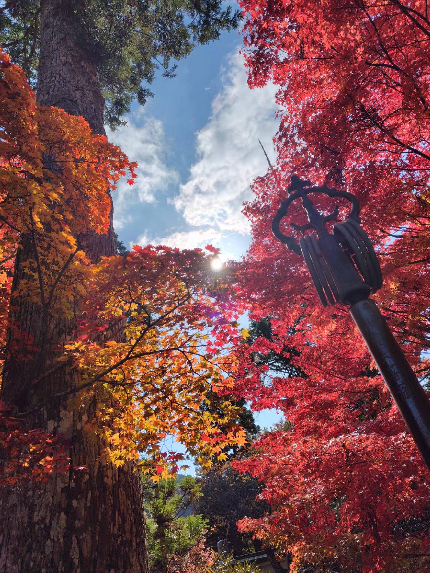 2025/11/09 共振・共鳴