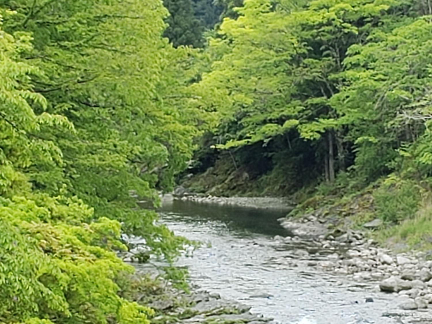 2022/05/13 08:00:00 雨巡