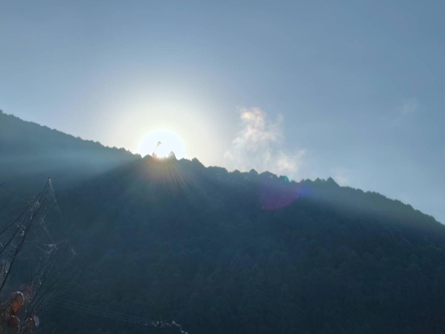 2025/11/11 共振・共鳴