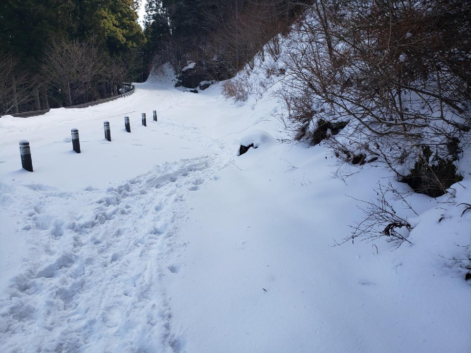 2022/01/18 07:00:00 雪拝