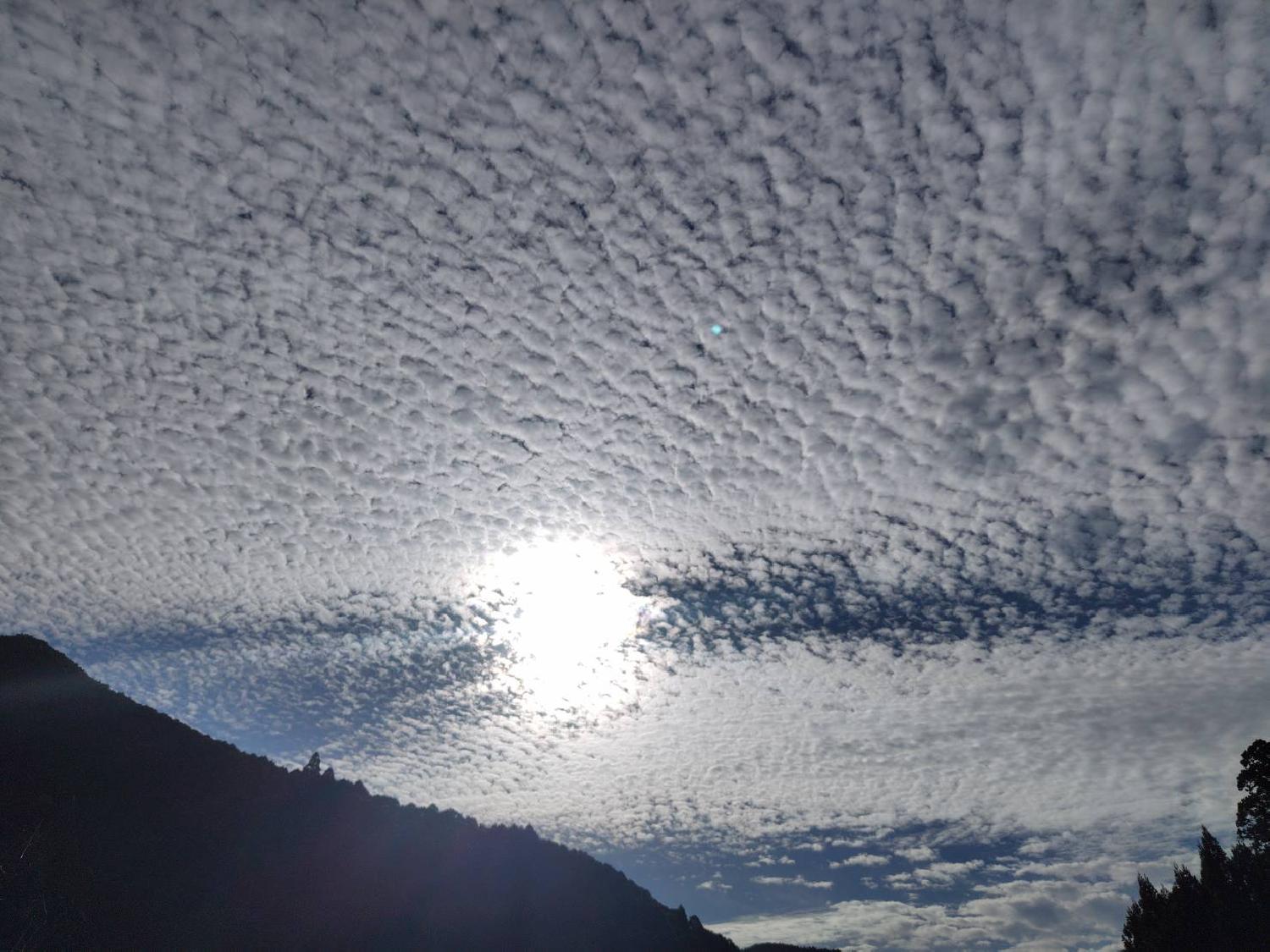 2025/11/12 共振・共鳴