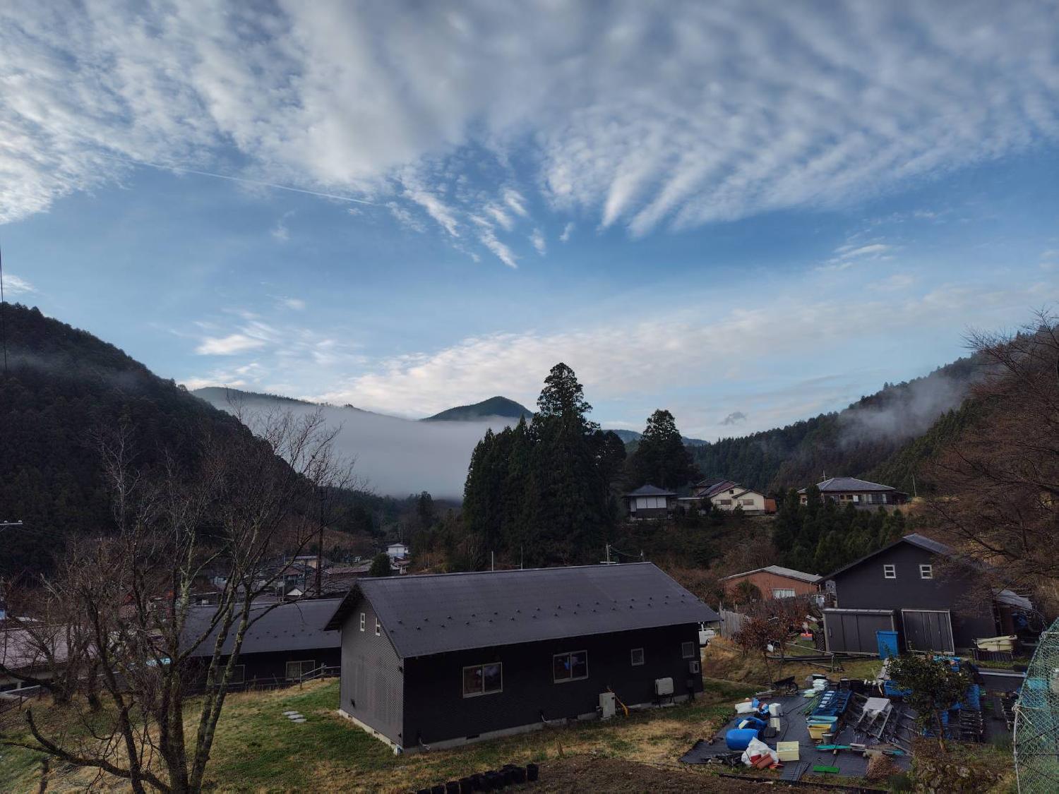  朝拝・共振・共鳴