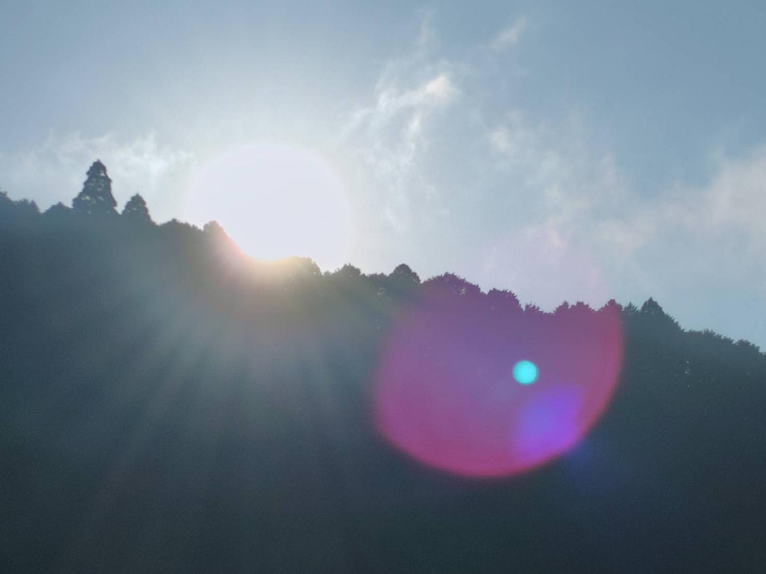 2025/11/23 共振・共鳴