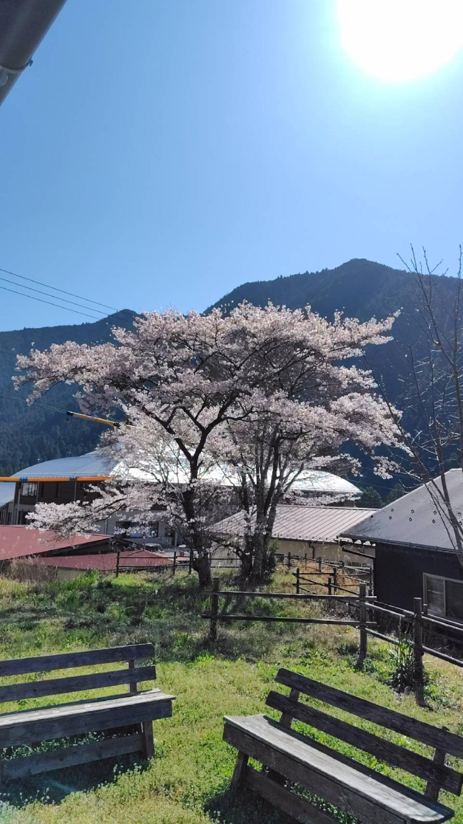 2026/04/08 存在の詩